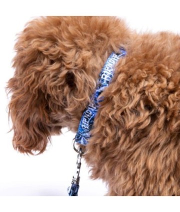 OBOJEK RIPNDIP NIKOLA PET COLLAR