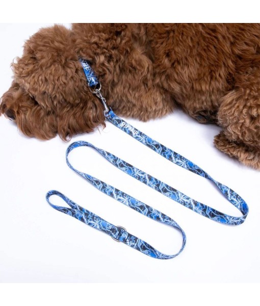 VODÍTKO RIPNDIP NIKOLA PET LEASH VODÍTKO RIPNDIP NIKOLA PET LEASH