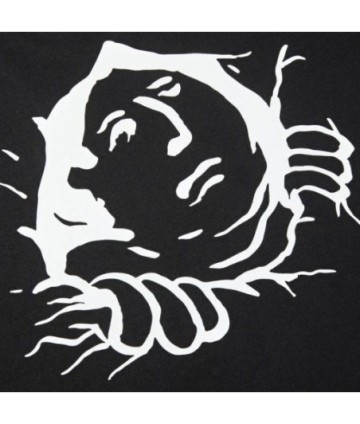 TRIKO POLAR Coming Out