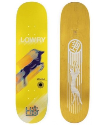 SK8 DESKA HABITAT Kevin Lowry Speed Test