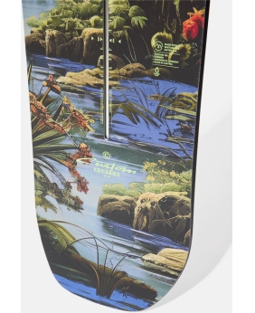 SNOWBOARD BURTON Custom