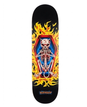 SK8 DESKA RIPNDIP BURN IN HECK