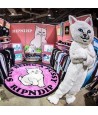RIPNDIP